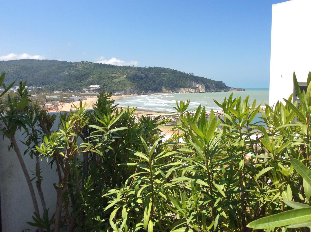 Elisa - Privata Inclusa 3* Peschici